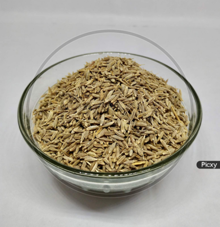 Common Cumin