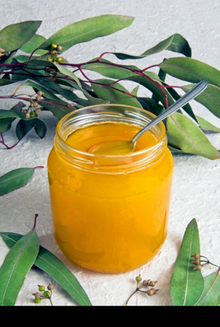 Eucalyptus Honey