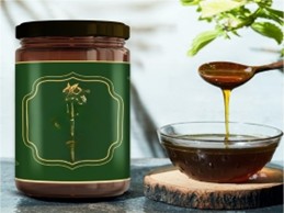 Forest/Wild Honey