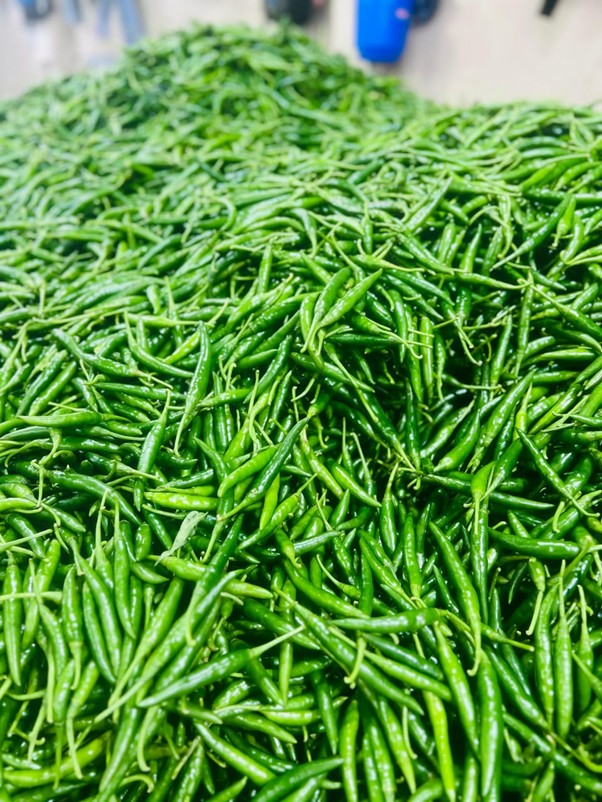G4 Green Chilli