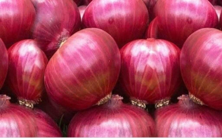 Garva Red Onion