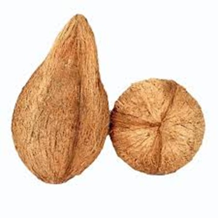 Semi-Husked Coconut – Grade A