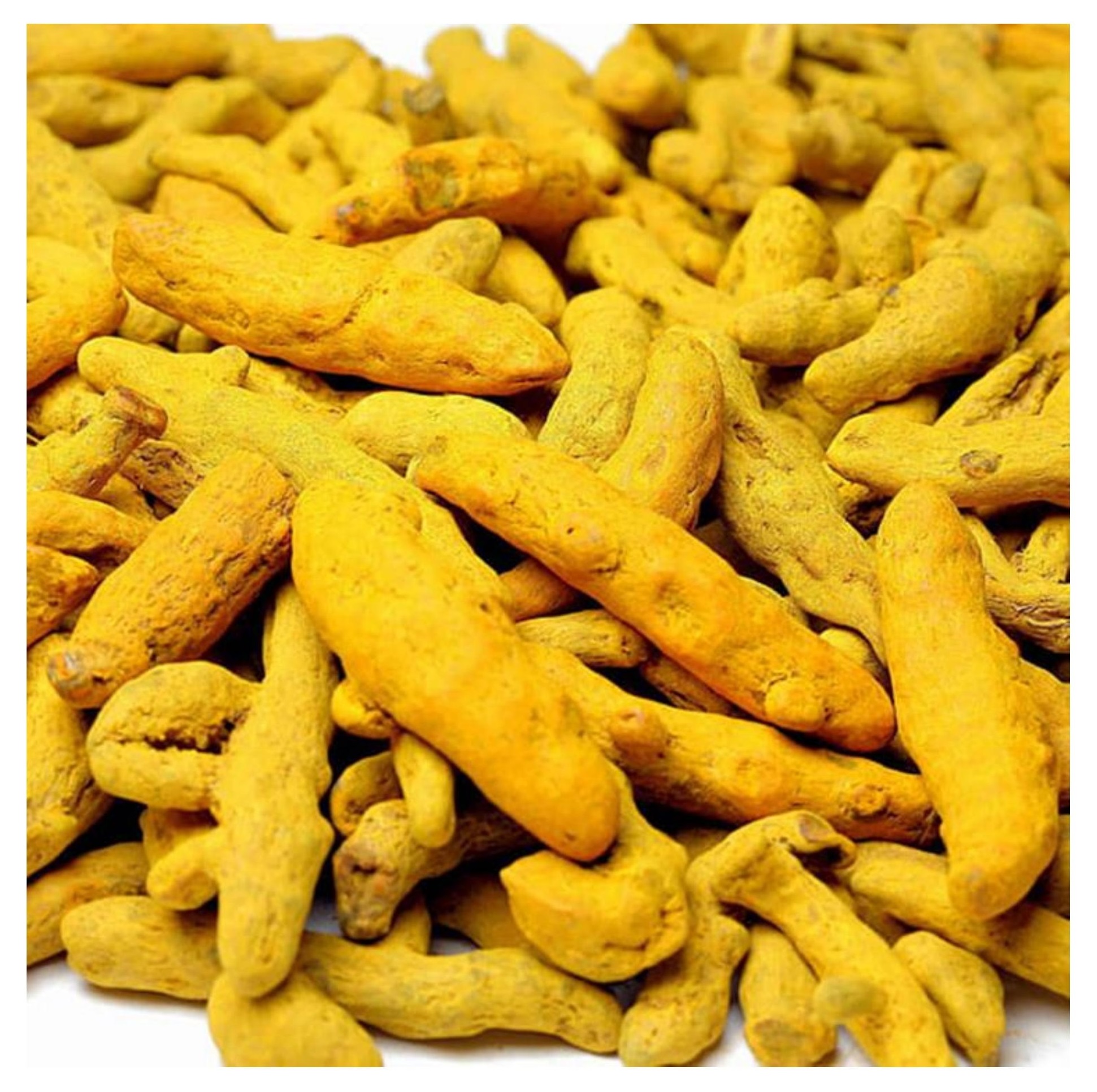 Salem Turmeric