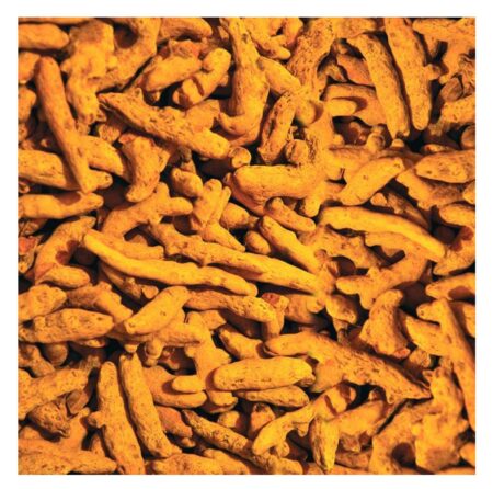Rajapuri Turmeric