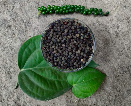 Black Pepper – Thevam