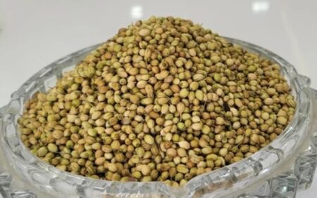 Eagle Coriander Seeds