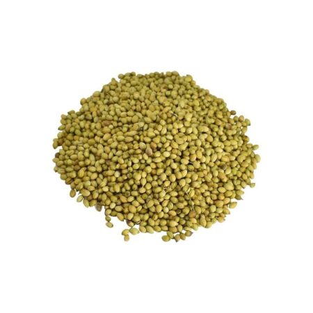 Double Parrot Coriander Seeds