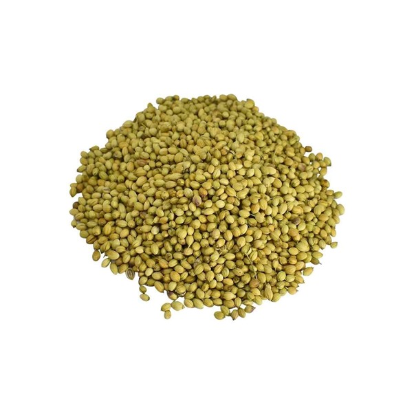 Double Parrot Coriander Seeds