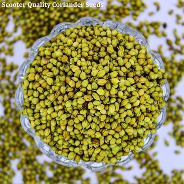 Scooter Quality Coriander Seeds