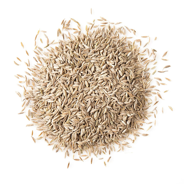 White Cumin