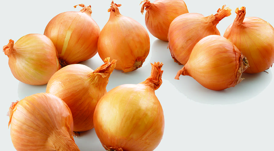 Shallot Onion